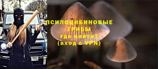 стафф Заволжск
