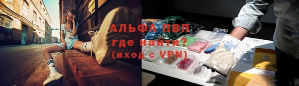 стафф Заволжск
