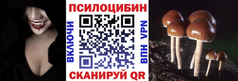 Купить где  Мончегорск  Галлюциногенные грибы прущие грибы 